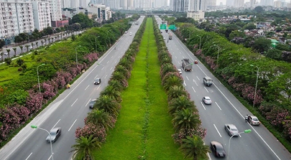 Chi tiết Trúc Đào độc đáo Việt Nam