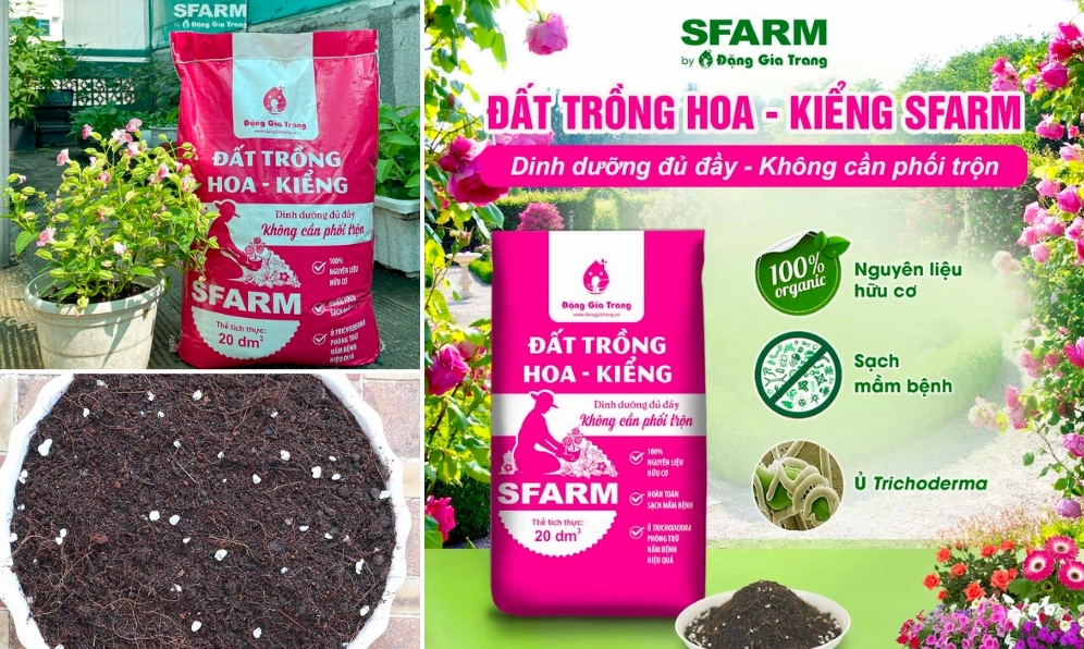 Đất trồng lý tưởng cho Trúc Đào
