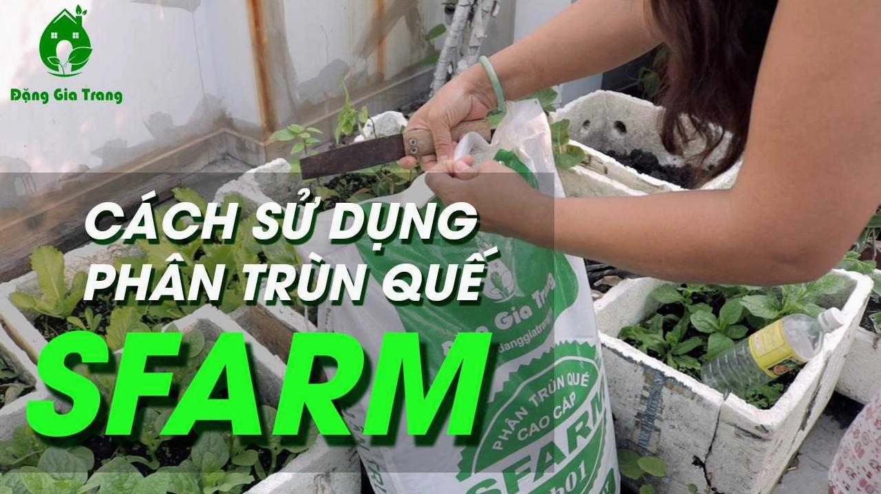 Phân bón cho cây Trúc Đào hiệu quả