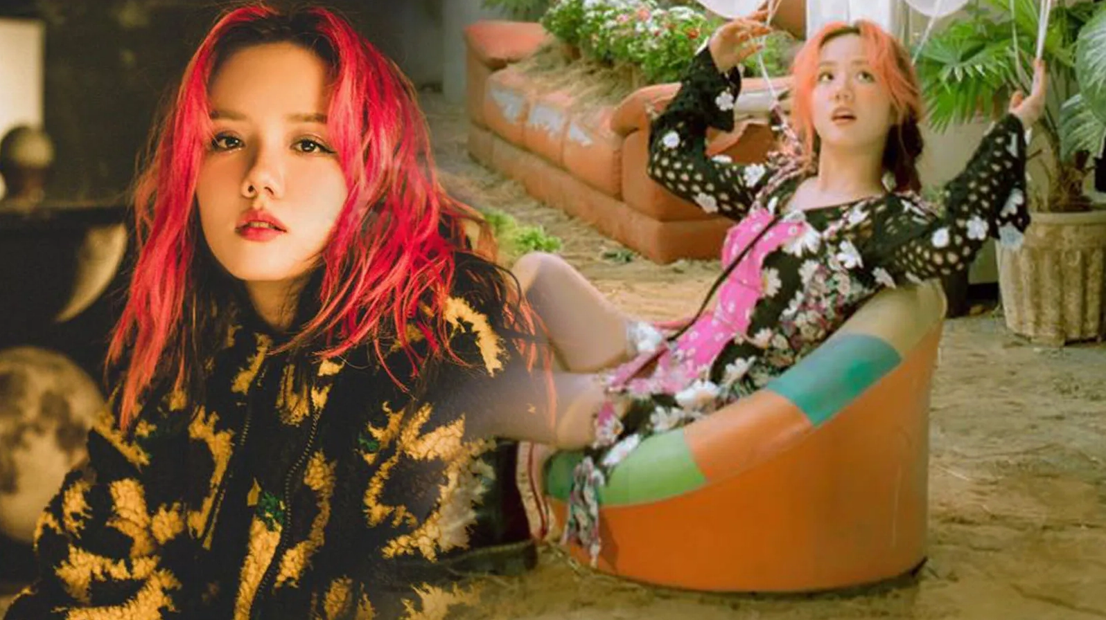 Ribi Sachi profile tương tự