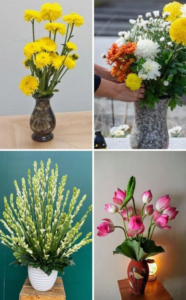 Trúc Đào trong phong tục ý nghĩa